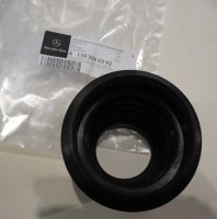 DSCN6066